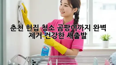 춘천 헌집 청소, 곰팡이까지 완벽 제거! 건강한 새출발