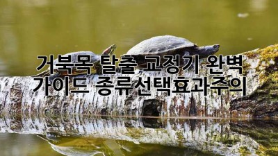 거북목 탈출🐢! 교정기 완벽 가이드 (종류/선택/효과/주의)