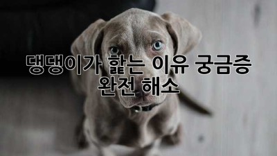 🐶 댕댕이가 핥는 이유? 궁금증 완전 해소! 🥰